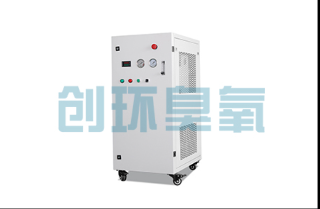 黄浦工厂化养鲈必看：2026年臭氧发生器替代传统消毒的最新方案