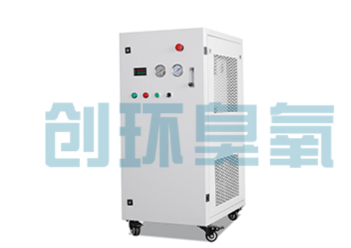 黄浦石斑鱼养殖水质调控完整指南：臭氧发生器配置与操作步骤