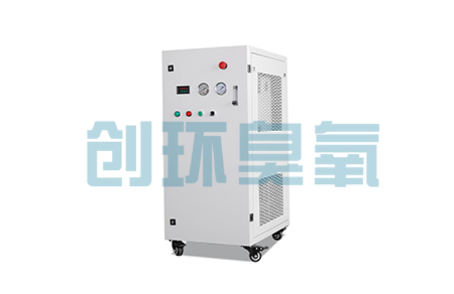 黄浦比传统换水更高效？臭氧发生器在石斑鱼养殖中的水质净化原理解析